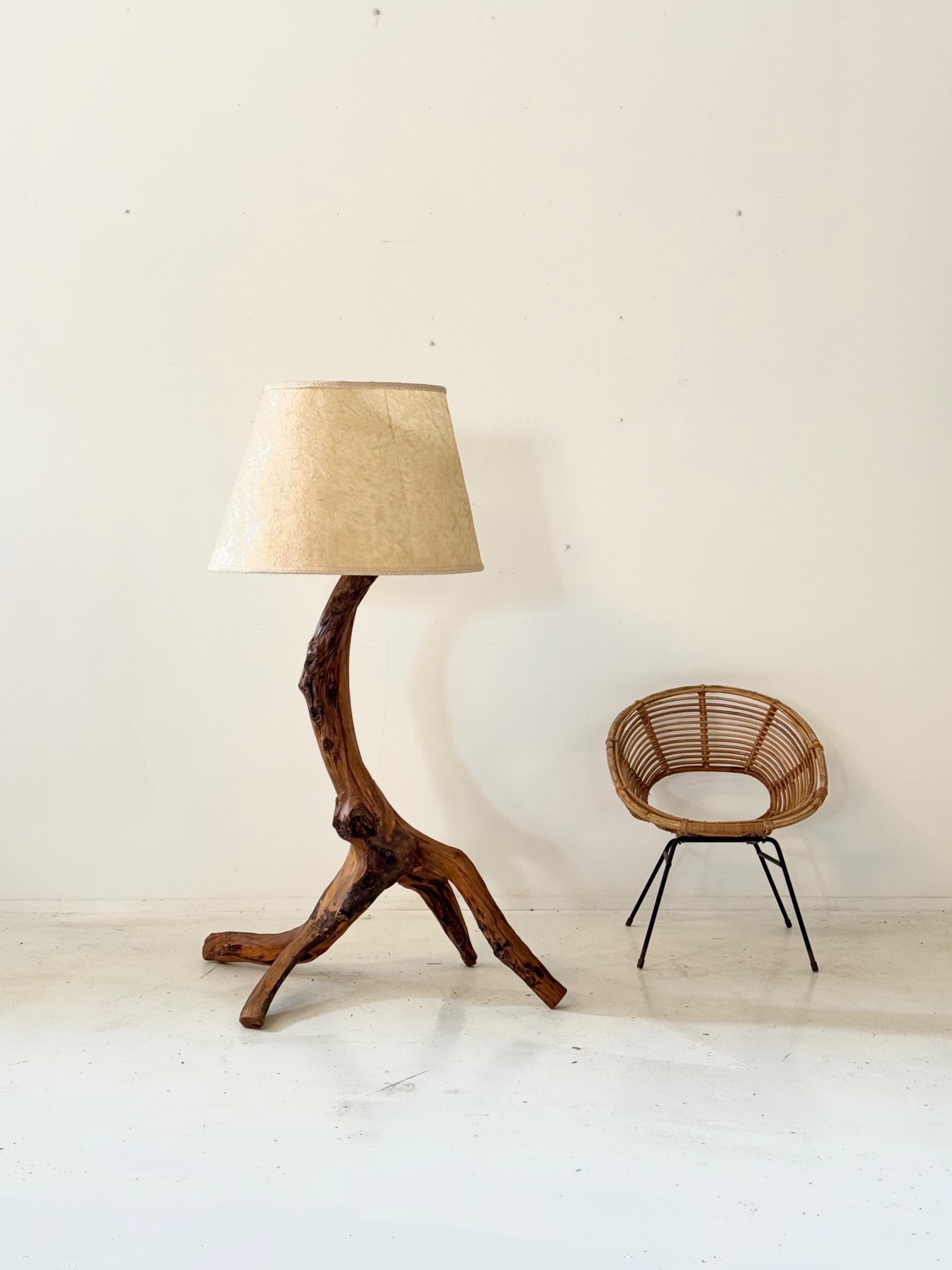 Big French 1960 Olive Root Floor Lamp. Dim = 158x110x80cm